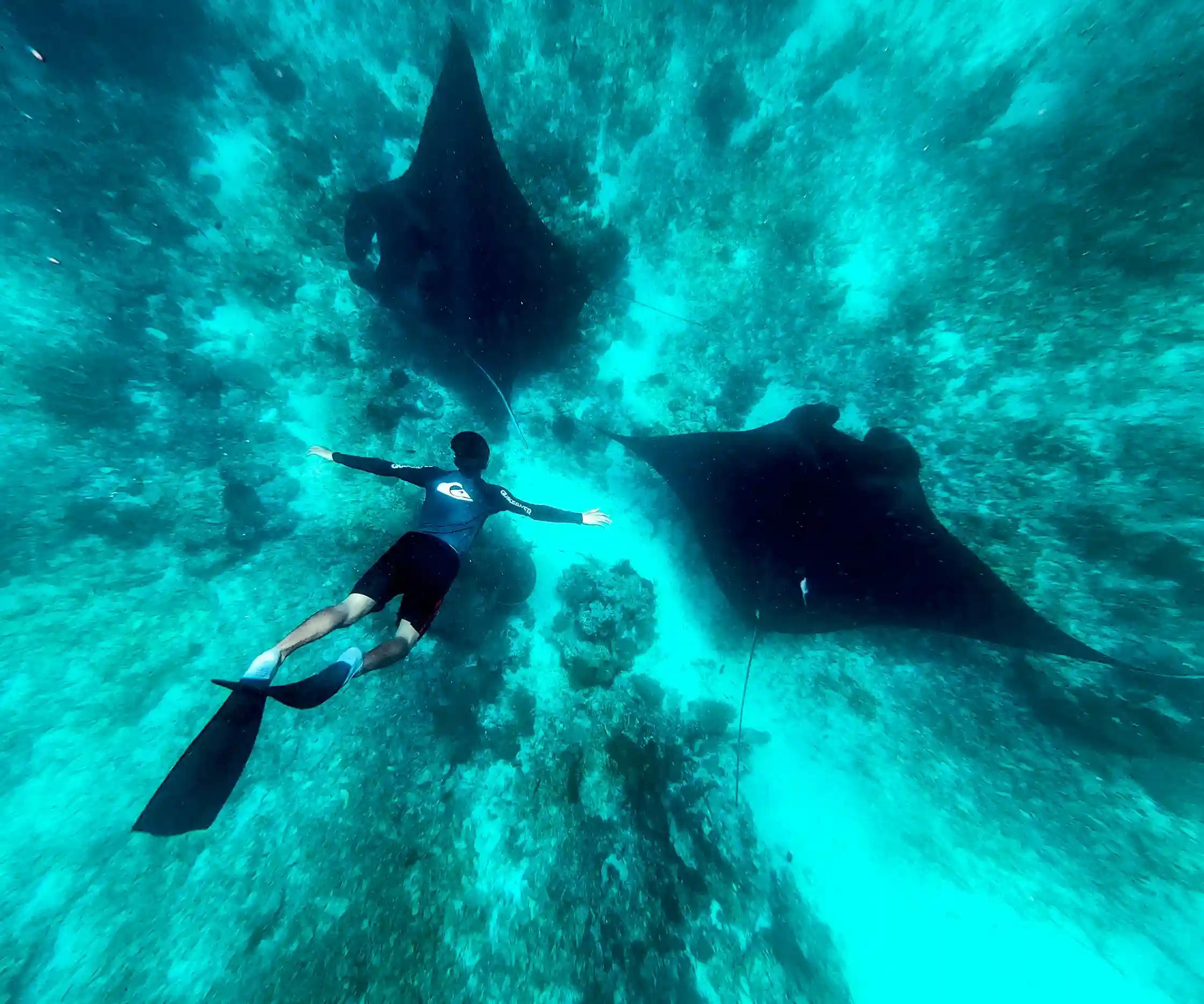 Manta Point