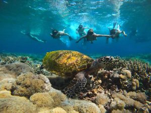 open trip